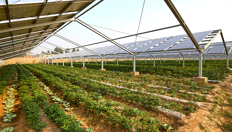 declaration-des-revenus-agricoles-2022-643fc383e8534114108370.jpg