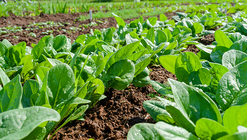 interdiction-programme-de-vente-6464cba915a8c536488975.jpg