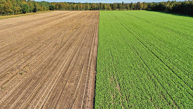 interdiction-broyage-fauchage-jacheres-terrains-usage-agricole-temporairement-suspendue-650ac041b90f6746416888.jpg